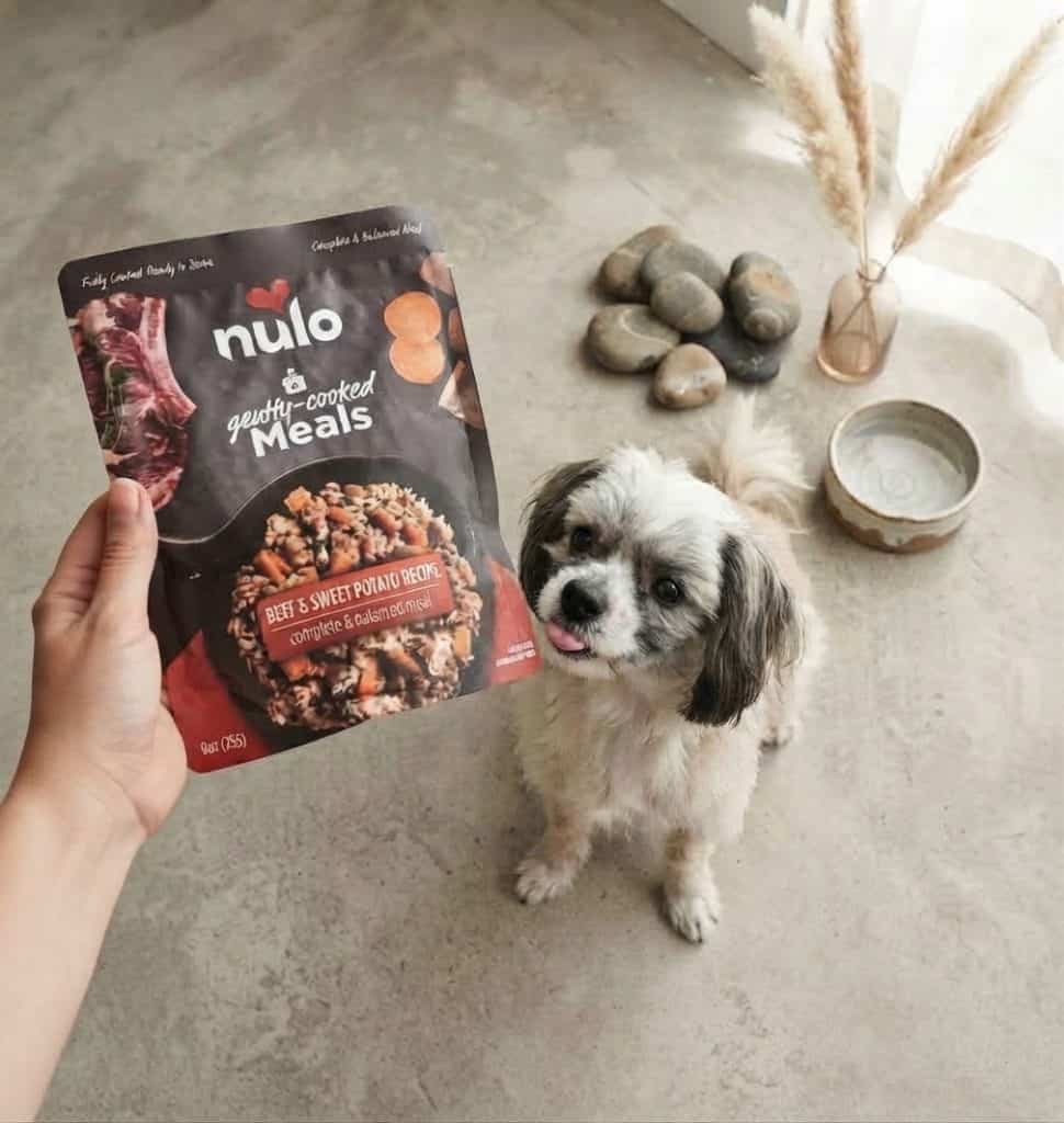 Best Dog Food for Shih Tzu: Healthy Choices for Small Breeds 16 Best Dog Food for Shih Tzu