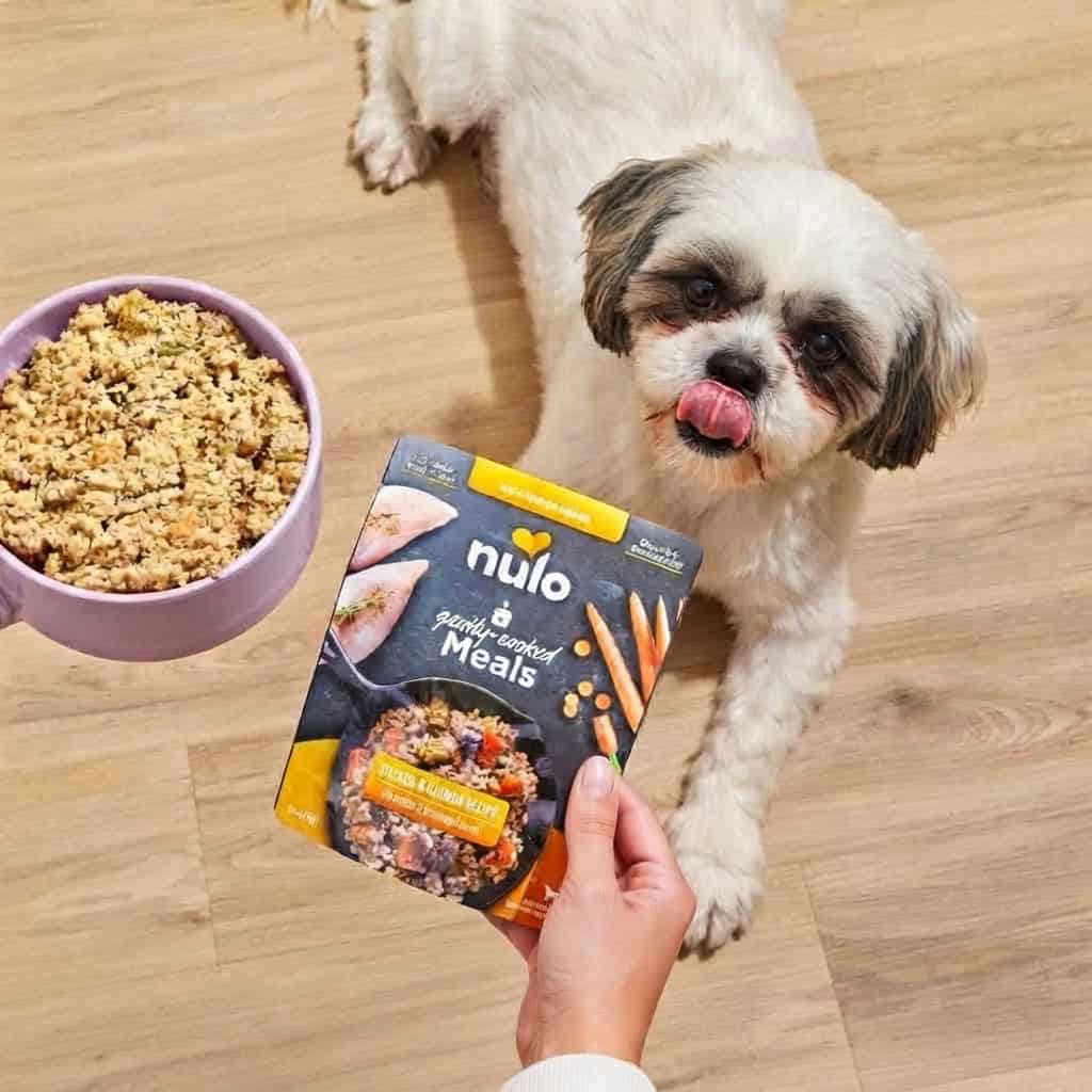 Best Dog Food for Shih Tzu: Healthy Choices for Small Breeds 21 Best Dog Food for Shih Tzu