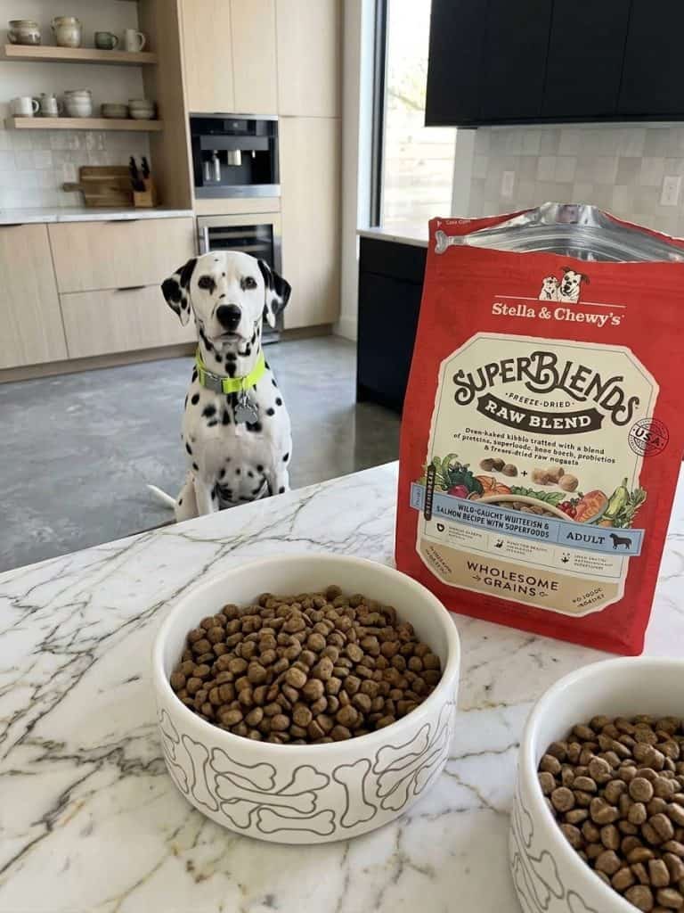 Tail-Wagging Goodness: Best Dog Food For Dalmatians 20 Best Dog Food For Dalmatians