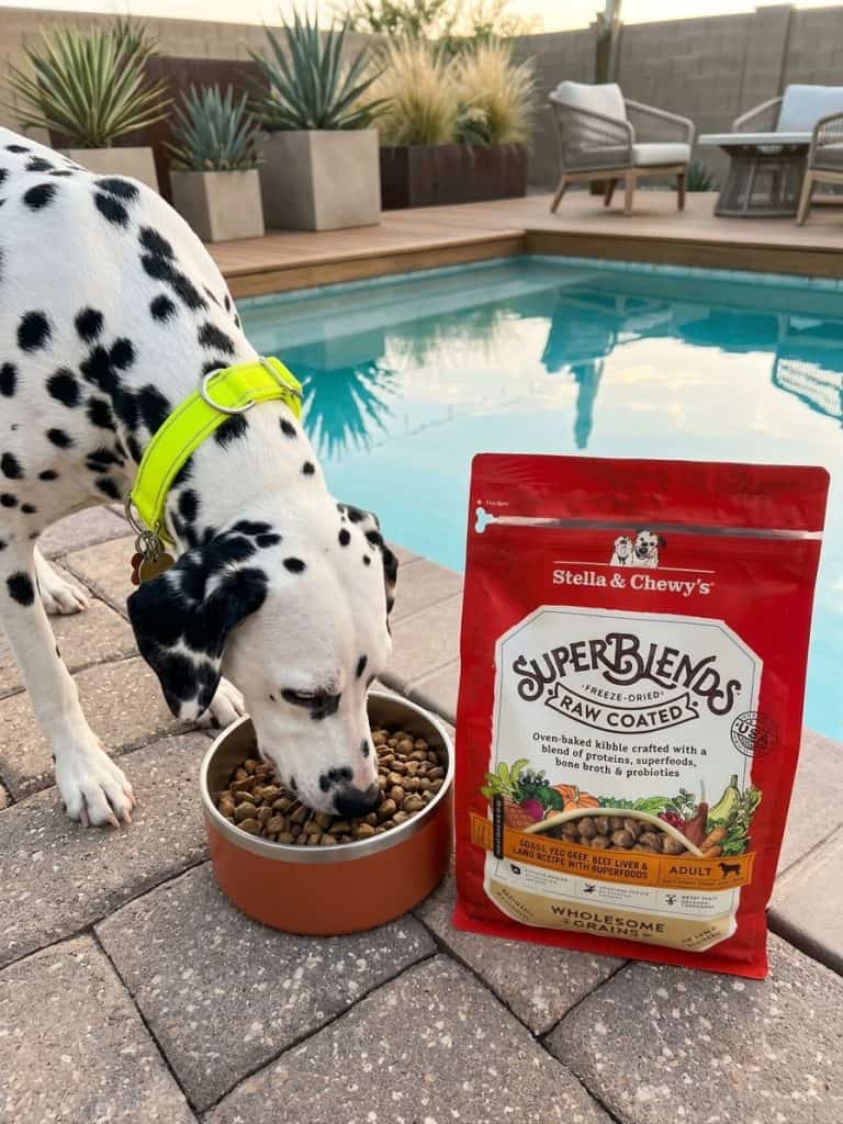 Tail-Wagging Goodness: Best Dog Food For Dalmatians 19 Tail-Wagging Goodness: Best Dog Food For Dalmatians 9