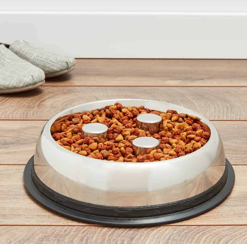 Slow Eating Dog Bowls: 12 Best Options to Prevent Gulping and Bloat 4