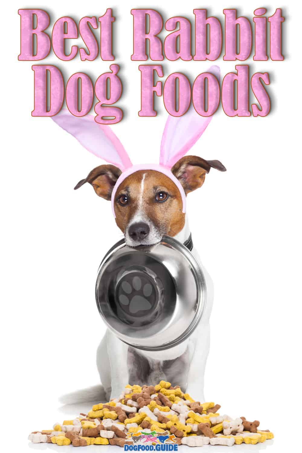 2022 Reviews of the Best Rabbit Dog Food for Sensitive Dogs