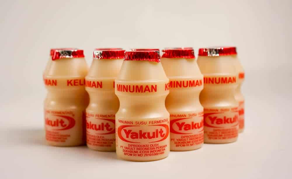 Yakult for Dogs: A Canine's Probiotic Delight! 2