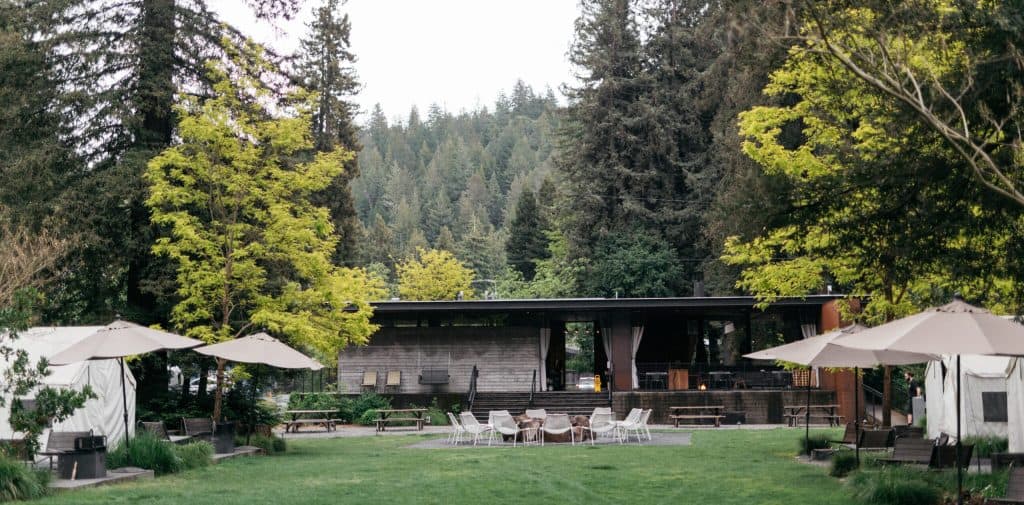Pet Friendly Hotels: Unleash the Ultimate and Paw-some Staycation 1
