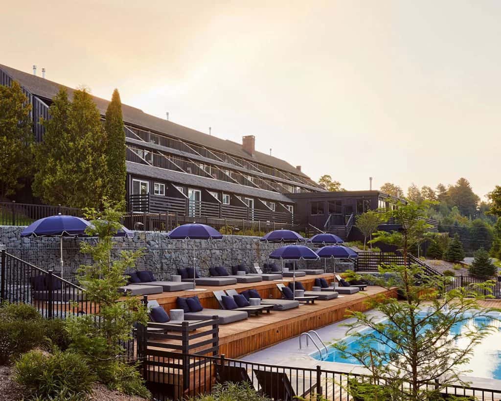 Pet Friendly Hotels: Unleash the Ultimate and Paw-some Staycation 8
