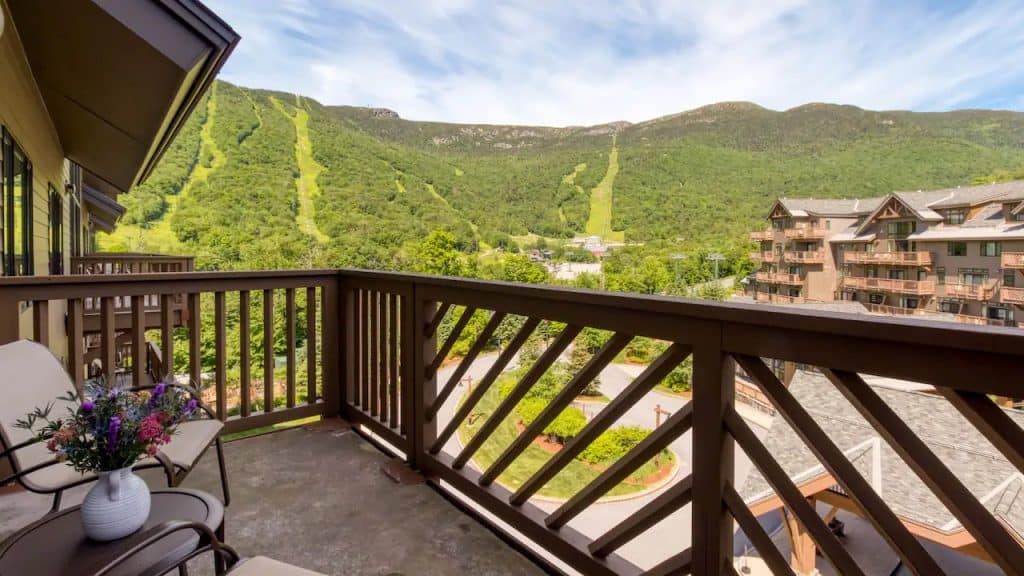 Pet Friendly Hotels: Unleash the Ultimate and Paw-some Staycation 9