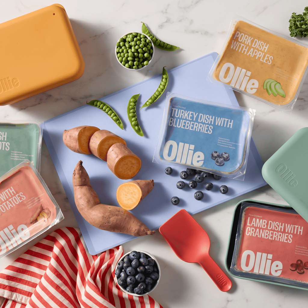 Ollie Dog Food Review: The Best Fresh Pet Food? 6 Ollie Dog Food Review