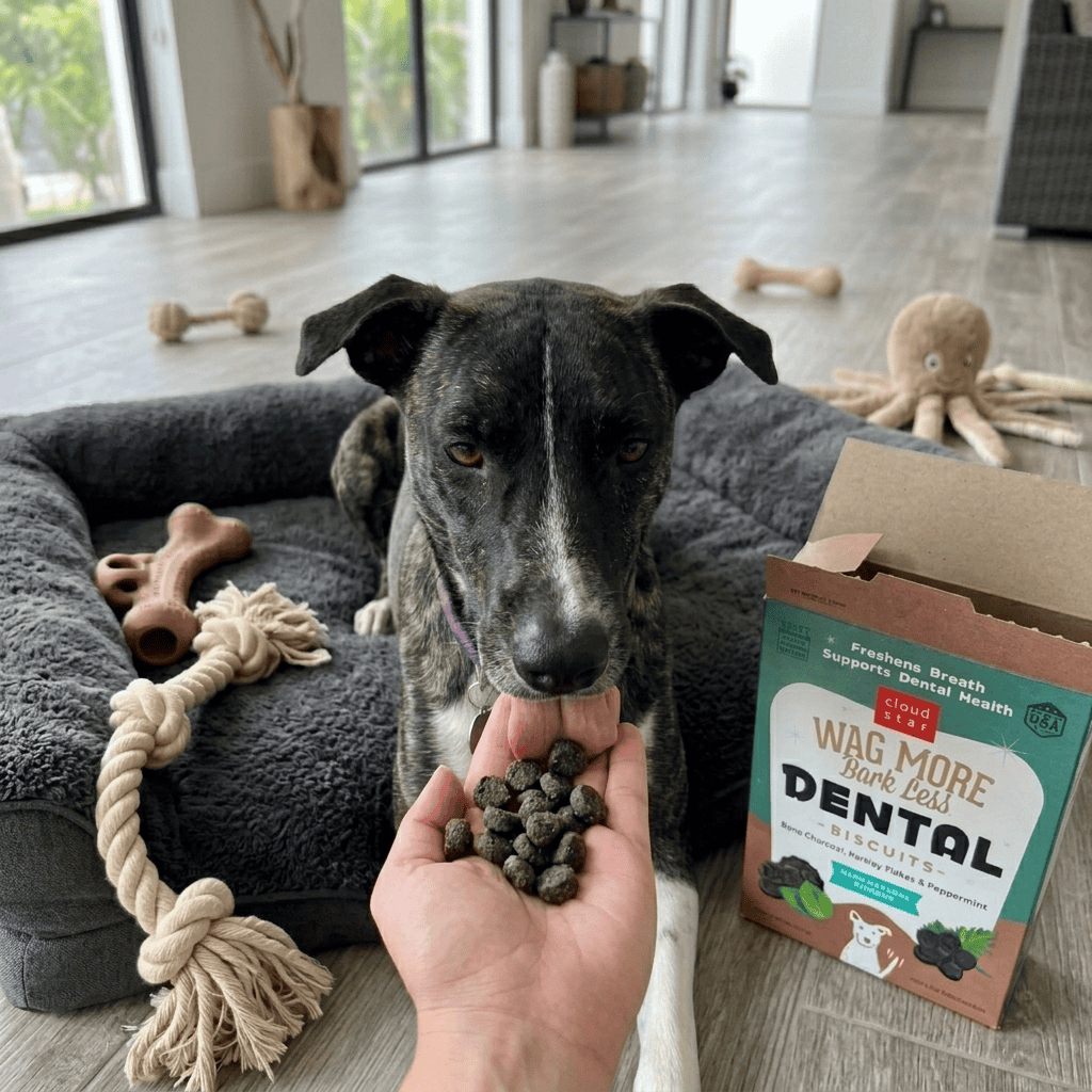 Slow Eating Dog Bowls: 12 Best Options to Prevent Gulping and Bloat 21 Slow Eating Dog Bowls: 12 Best Options to Prevent Gulping and Bloat 14