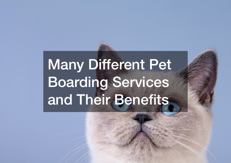 Many Different Pet Boarding Services and Their Benefits Dogfood Coupons
