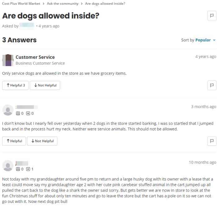 Does World Market Allow Dogs? World Market Pet Policy 2024