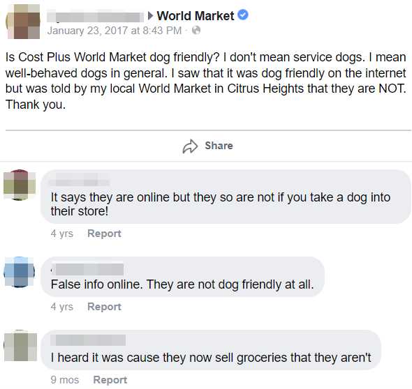 Does World Market Allow Dogs? World Market Pet Policy 2024