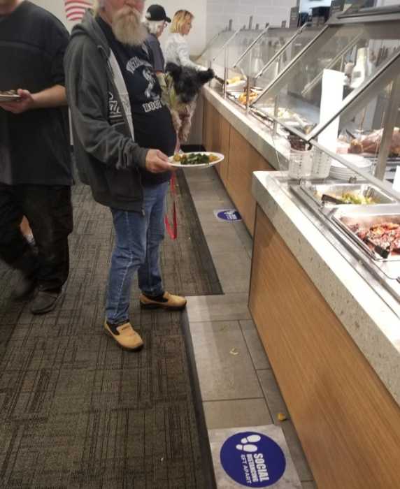 Does Golden Corral Allow Dogs? Golden Corral Pet Policy 2024