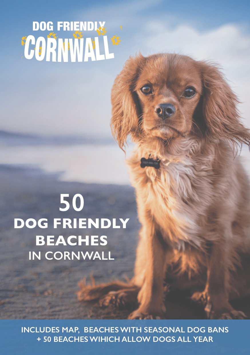 Dog Friendly Beaches Cornwall Map Dog Friendly Cornwall Beach Guide 2020 (Digital download) Dog