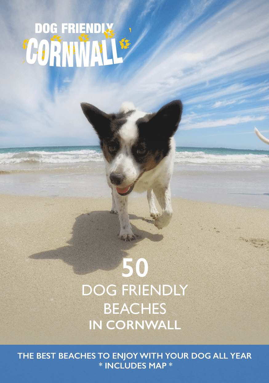 Dog Friendly Cornwall Beach Guide 2021 (Digital download) Dog