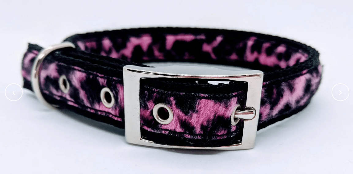 Win a matching dog lead and collar from Bows & Whistles plus our beach