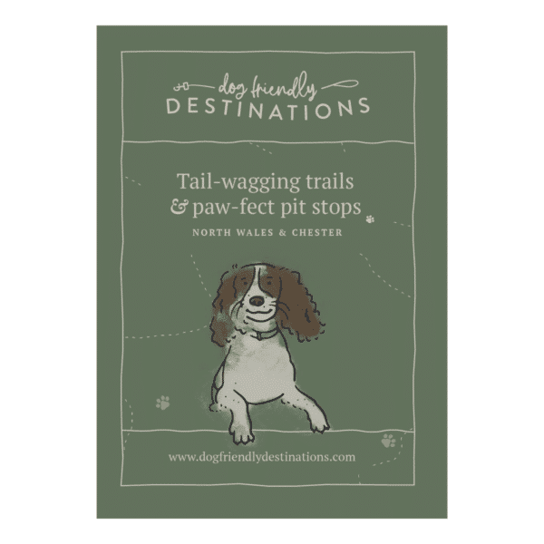 Dog friendly guide to North Wales & Chester Dog Friendly Destinations