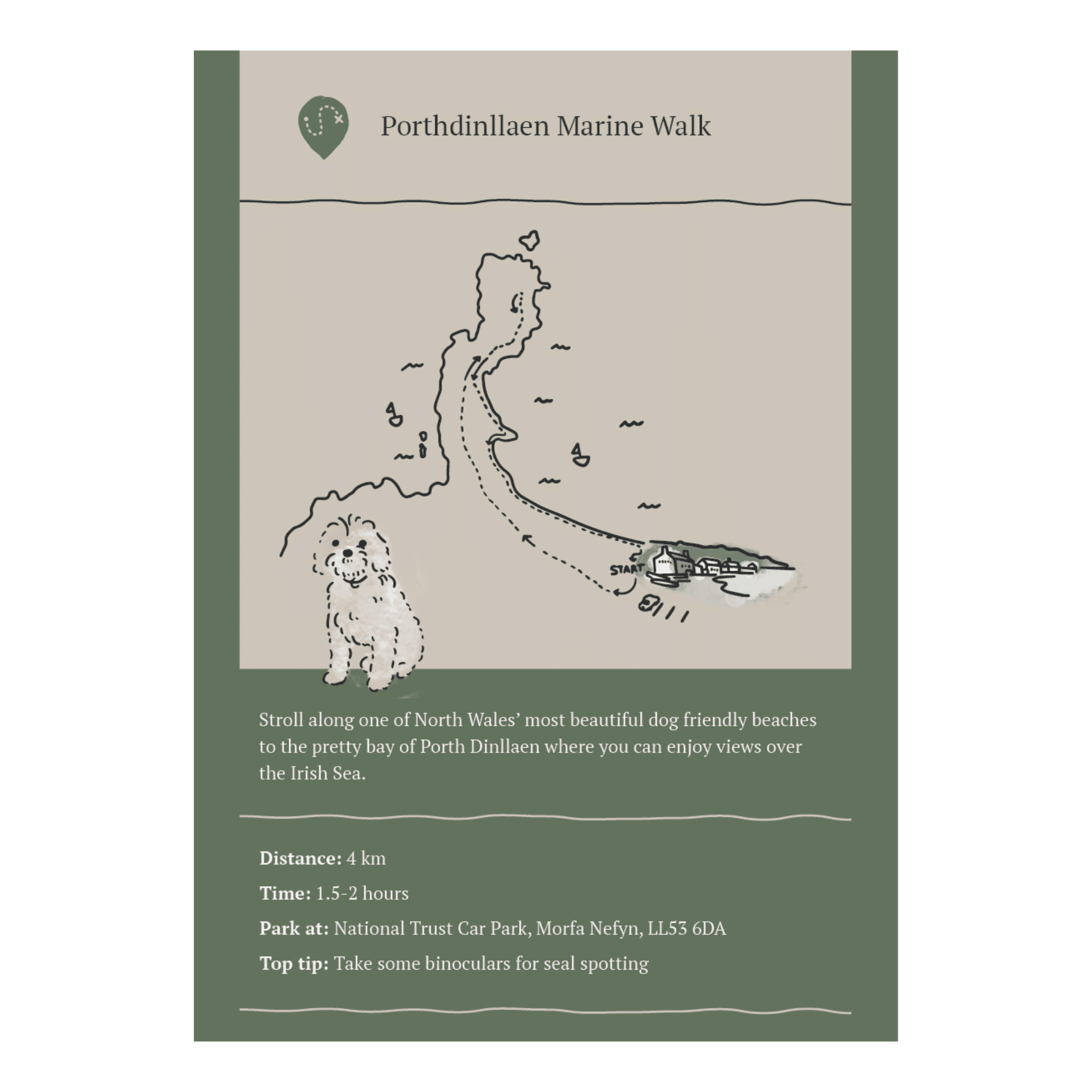 Dog friendly guide to North Wales & Chester Dog Friendly Destinations