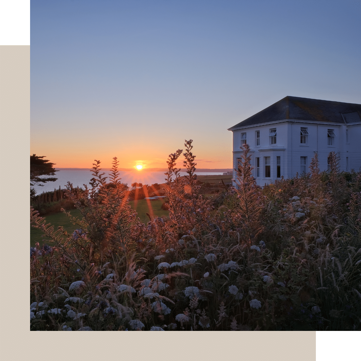 Dog friendly vineyards in the UK Dog Friendly Destinations