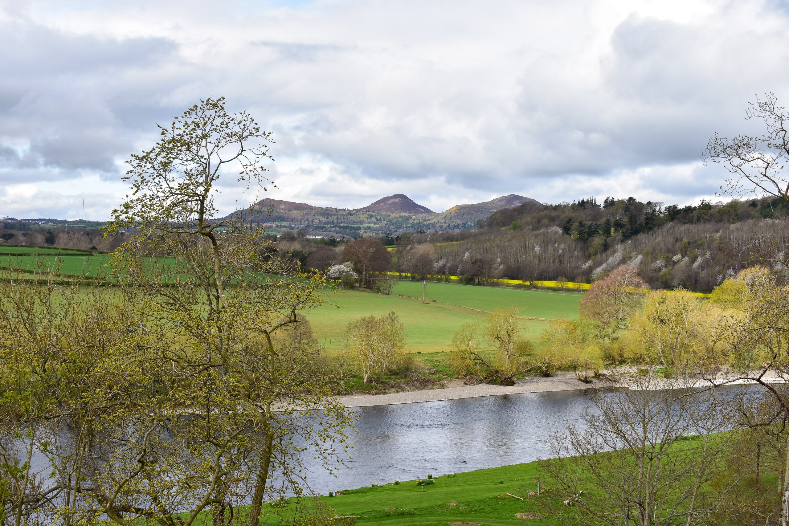 St Boswells and the Tweed Dog Friendly Destinations