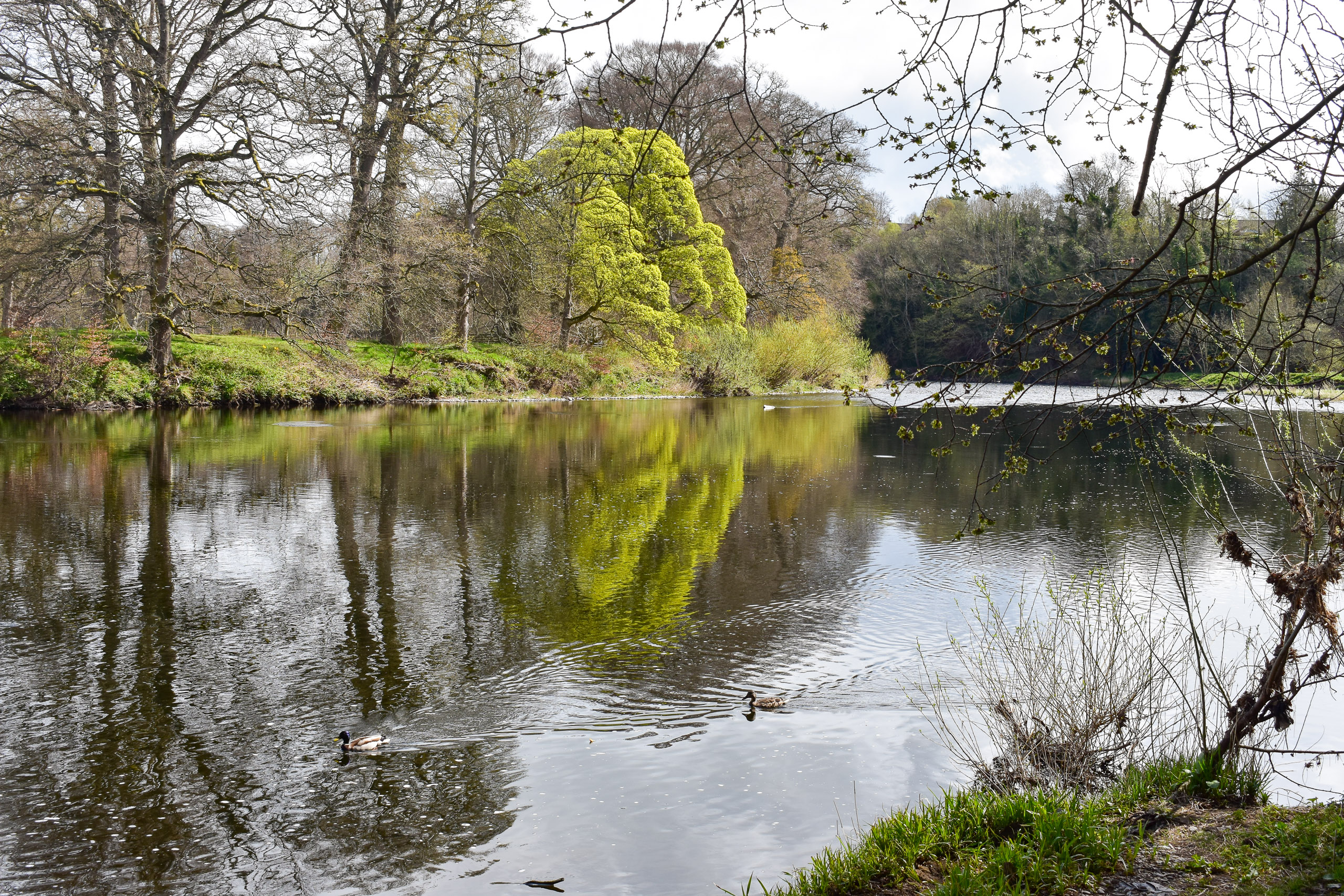 St Boswells and the Tweed Dog Friendly Destinations