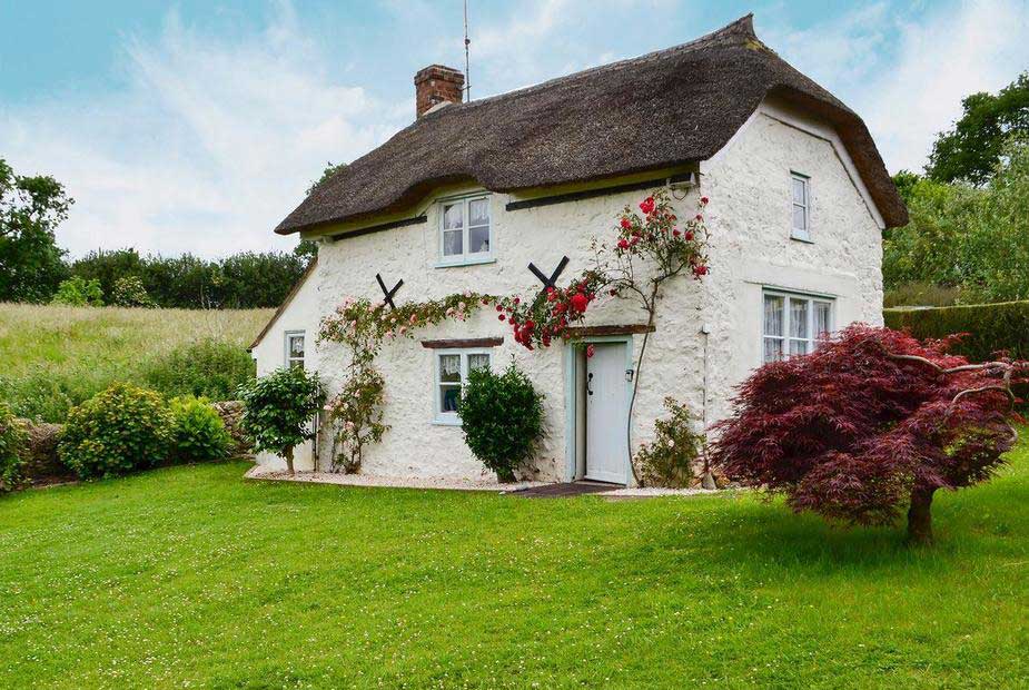 18 Dog Friendly Holiday Cottages in Dorset to Rent
