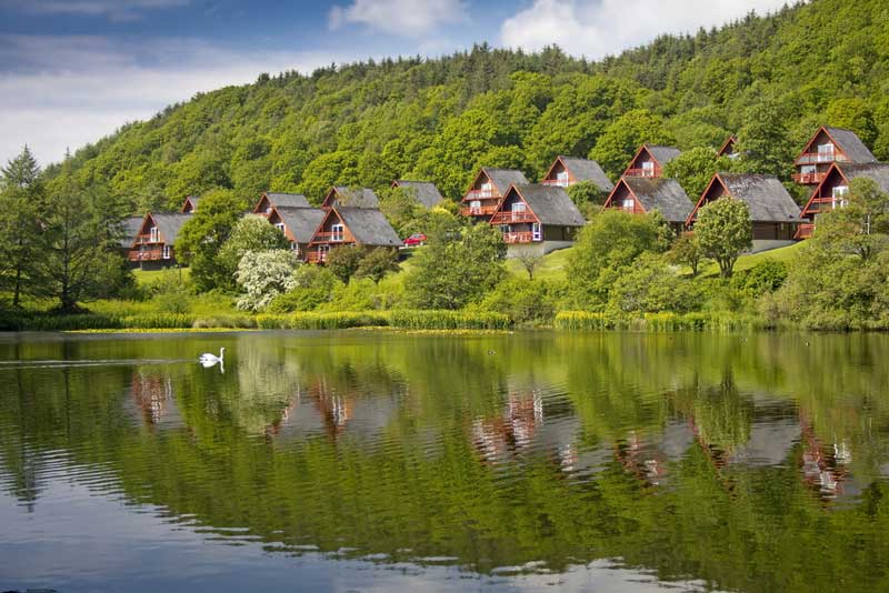 Dog Friendly Lodges UK 500+ Luxury Log Cabin Holidays