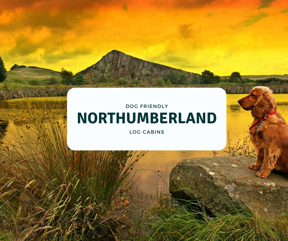 Luxury Dog Friendly Log Cabins & Lodge Breaks in the UK