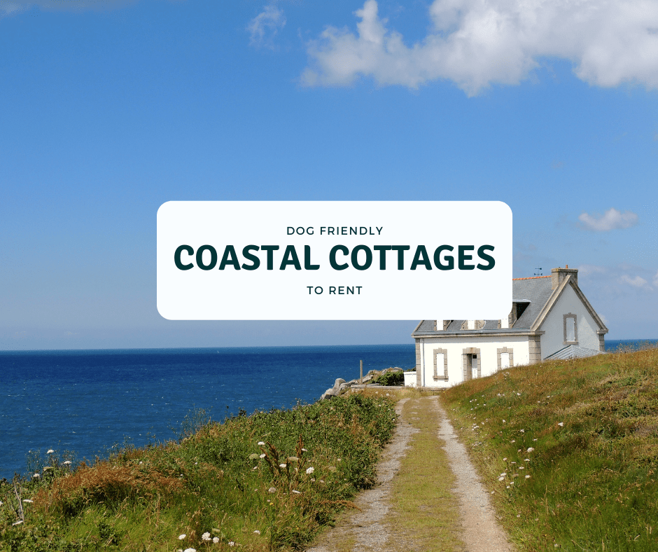 Best Dog Friendly Coastal Cottages UK (20 Beach Holidays)