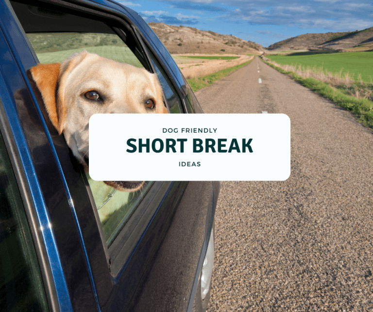 Dog Friendly Getaways UK (1000+) Short Weekend Breaks