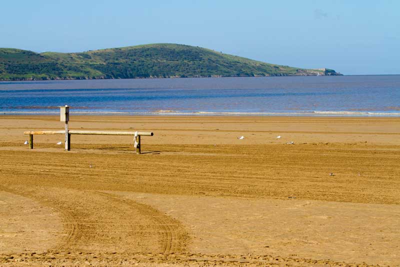 14 Best Dog Walks in Somerset for You to Explore