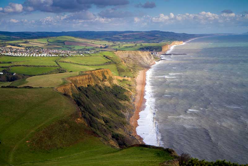 14 Best Dog Walks in Weymouth for You to Explore