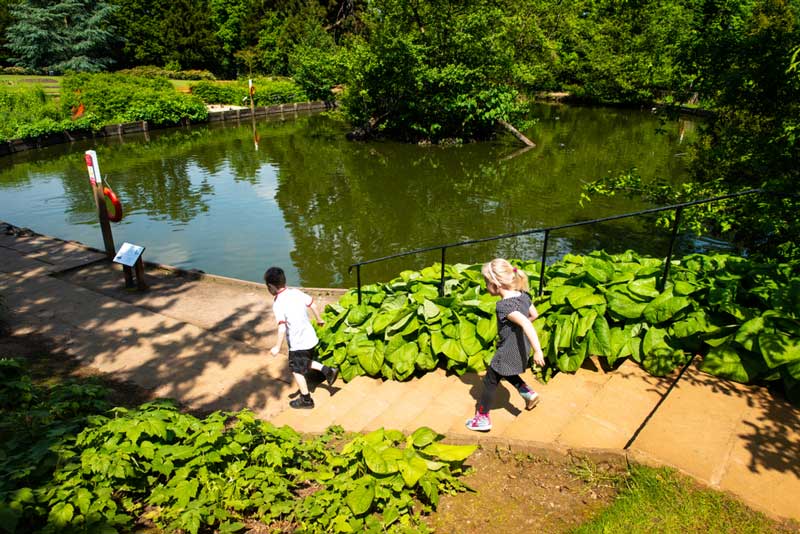 14 Best Dog Walks in Essex for You to Explore