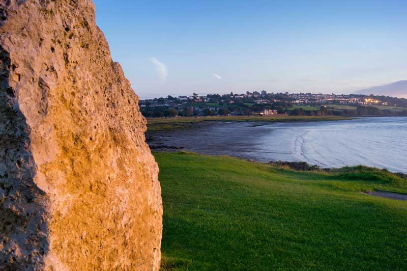 14 Best Dog Walks in Somerset for You to Explore