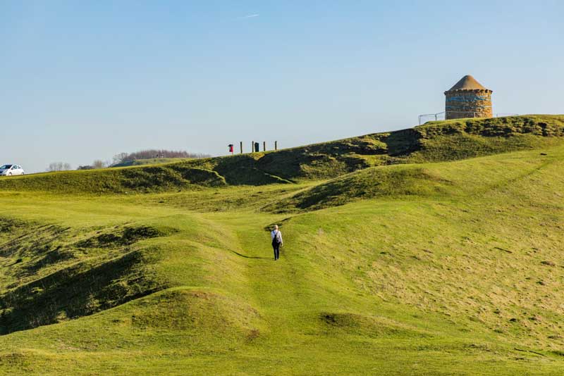 14 Best Dog Walks in Warwickshire for You to Explore