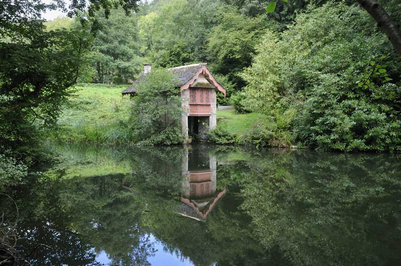 14 Best Dog Walks in the Costwolds for You to Explore