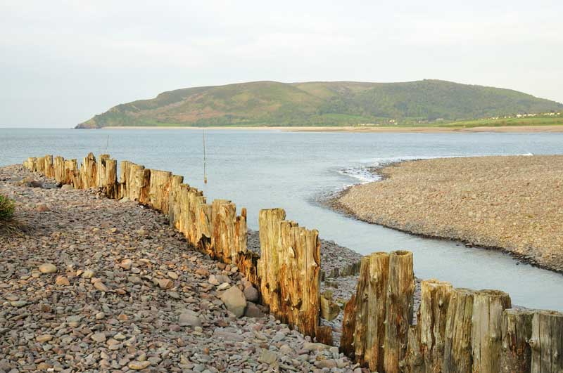 The Best Dog Friendly Beaches in Somerset