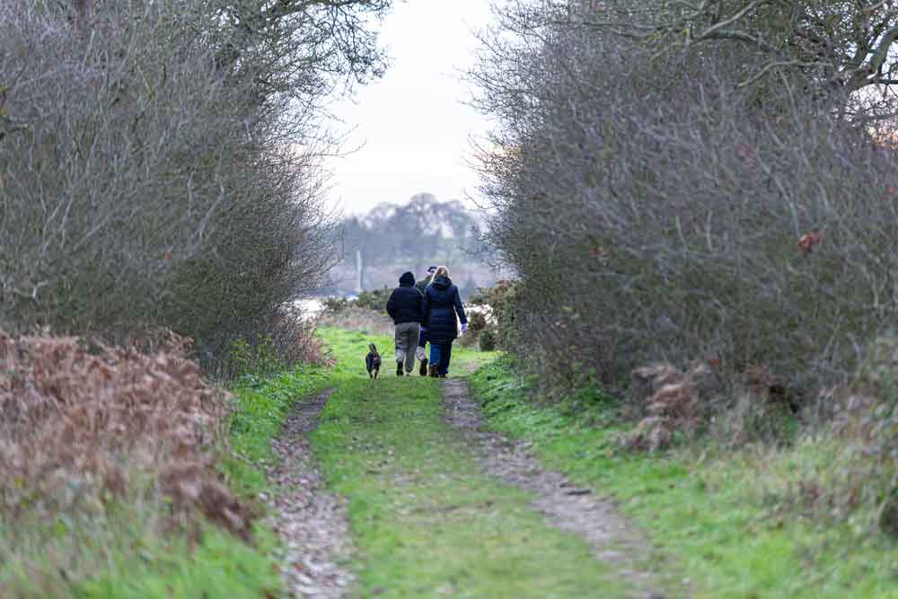 14 Best Dog Walks in Suffolk for You to Explore