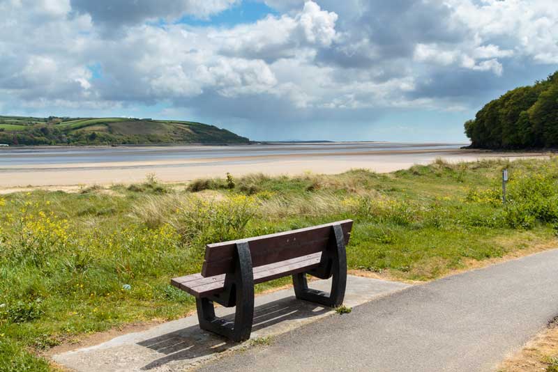 The Best Dog Friendly Beaches in Wales