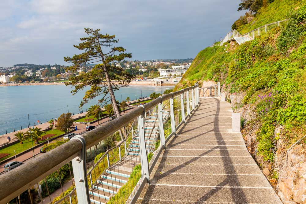The Best Dog Friendly Beaches in Torquay
