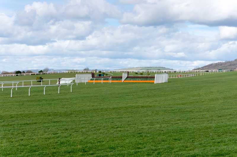 The Best Dog Walks in Gloucestershire for You to Explore