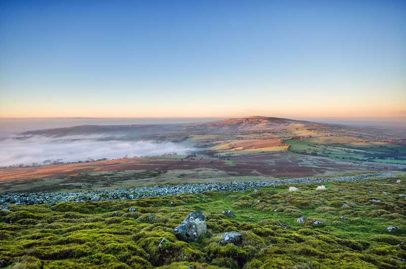 14 Best Dog Walks in Shropshire for You to Explore