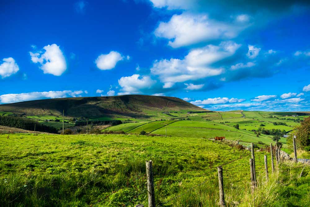 14 Best Dog Walks in Lancashire for You to Explore