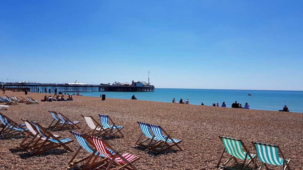 The Best Dog Friendly Beaches in Brighton