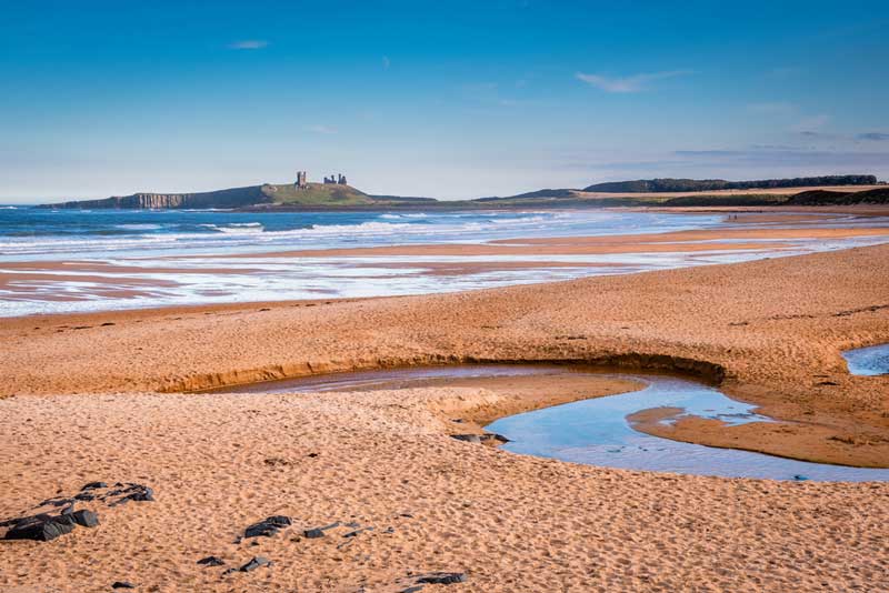The Best Dog Friendly Beaches in Northumberland