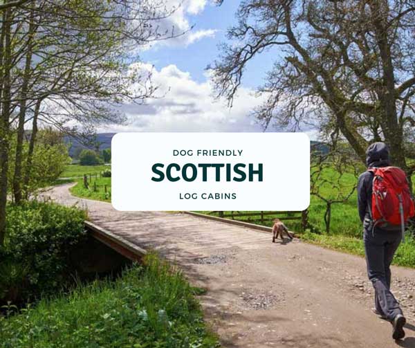 Luxury Dog Friendly Log Cabins in Scotland (15 Best Lodges)