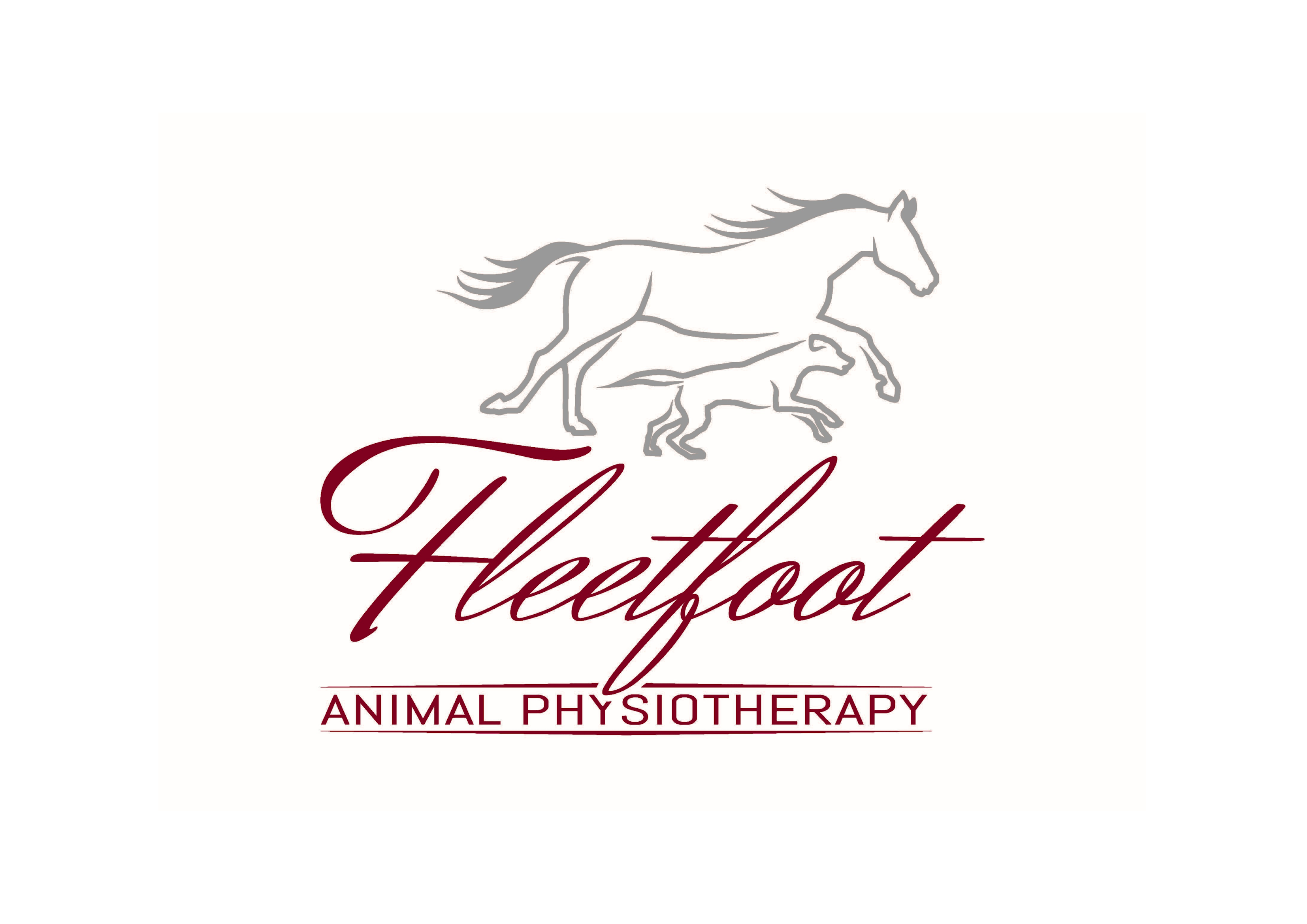 Fleetfoot Animal Physiotherapy Dog Friendly Ireland
