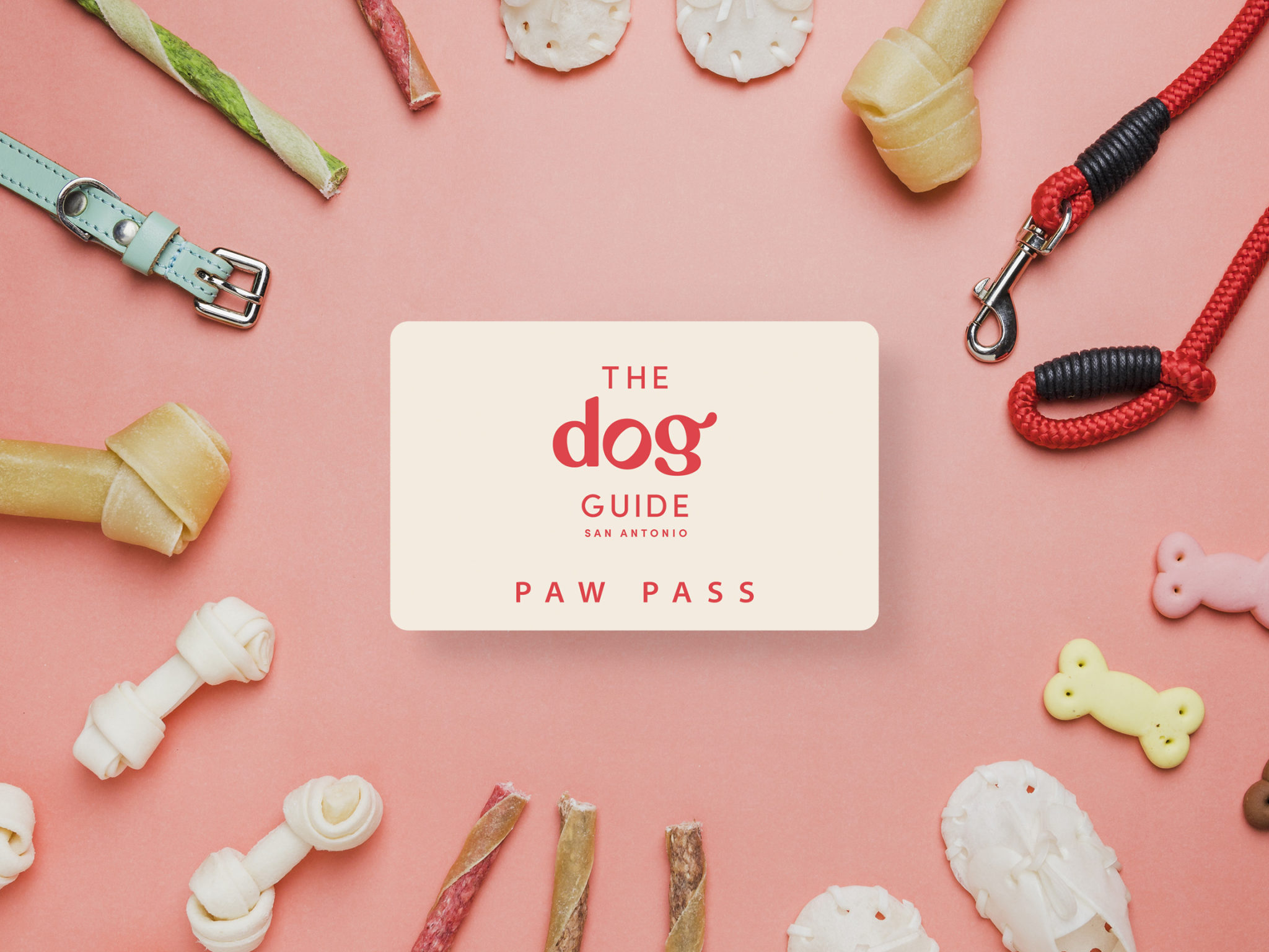 Paw Pass The Dog Guide San Antonio