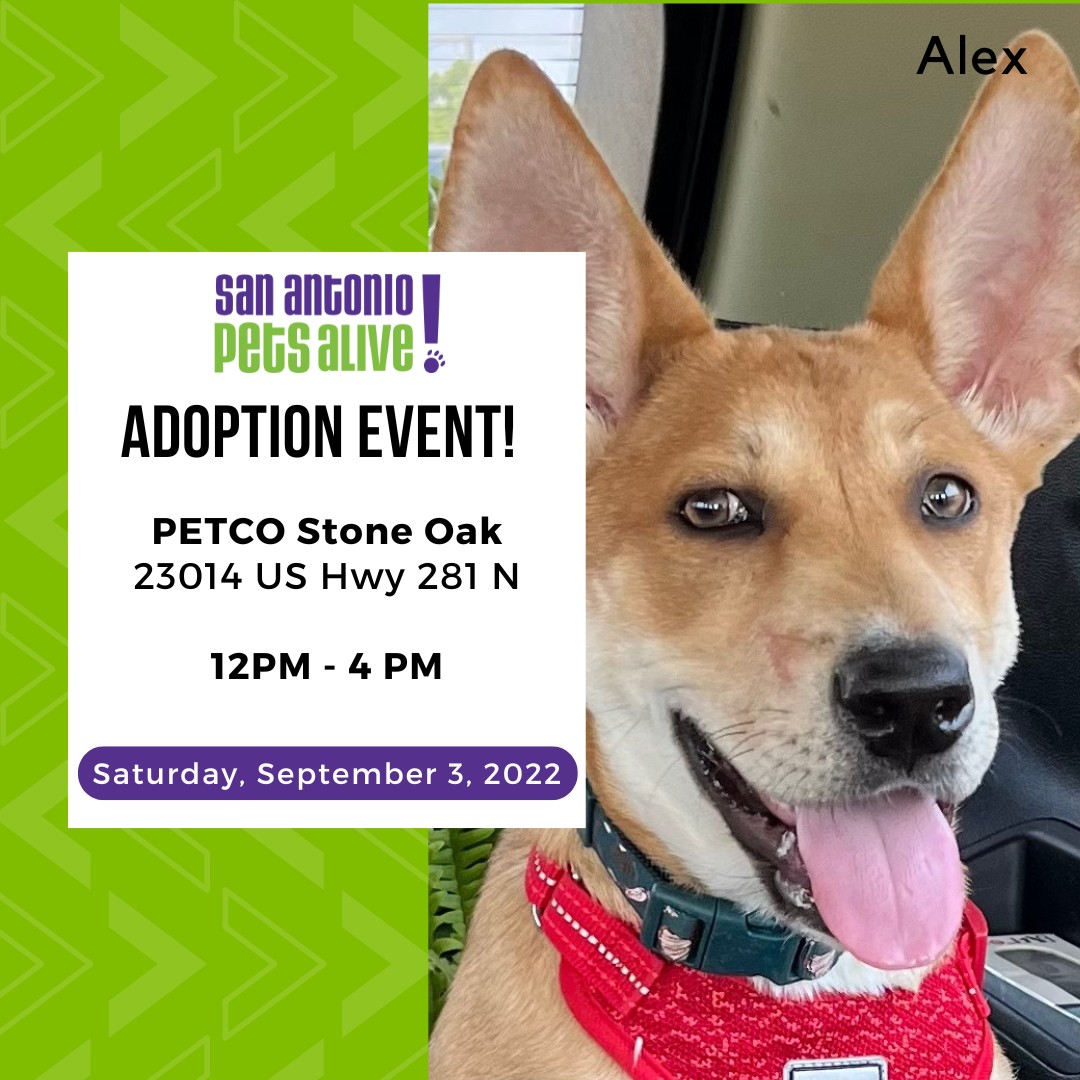 Pet Adoption Event! The Dog Guide San Antonio