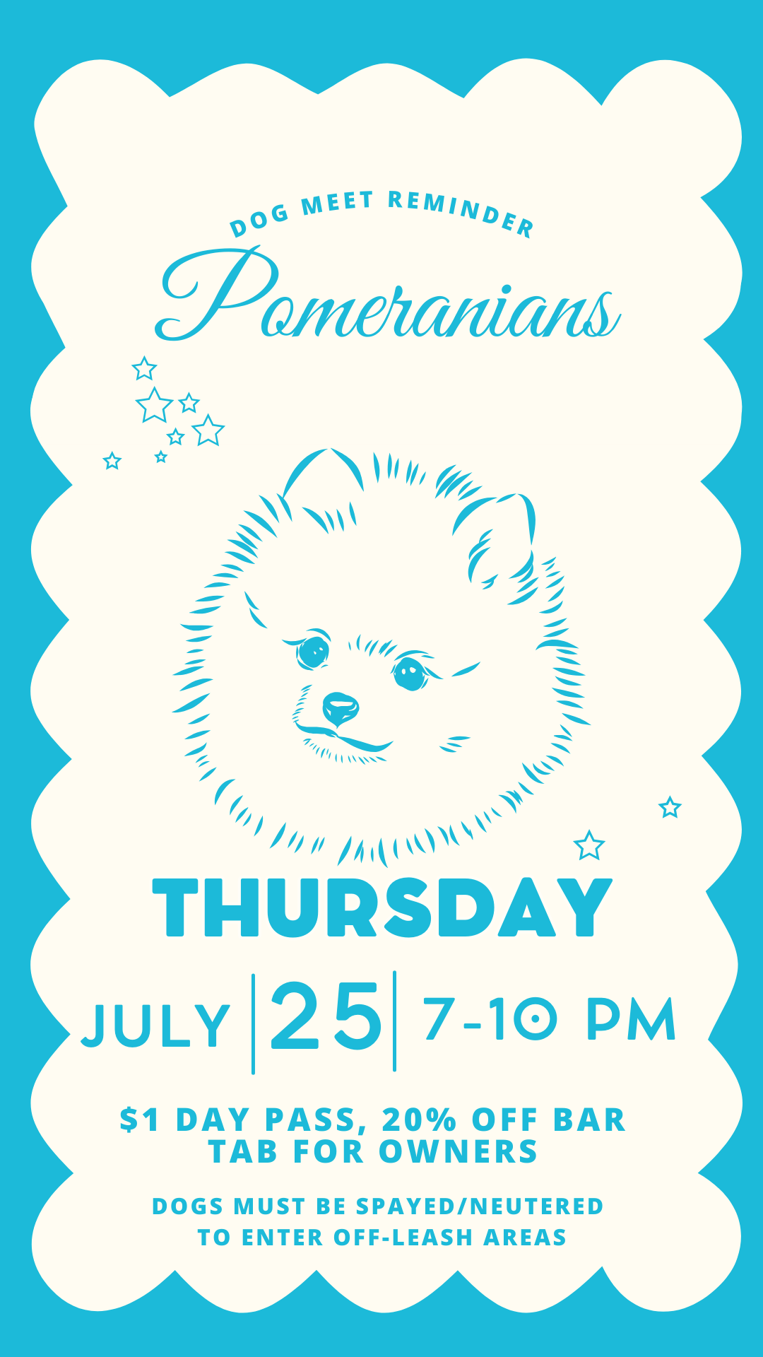 Pomeranian Night The Dog Guide San Antonio