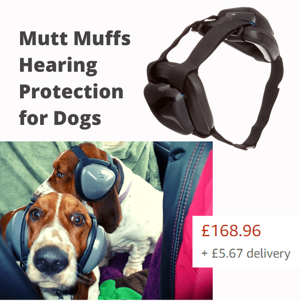 Fireworks Dog Anxiety Calming Help Dog Friendly Scene